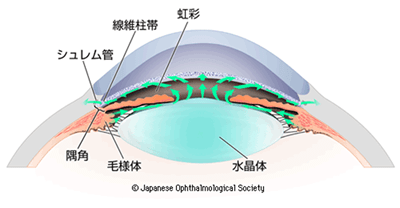 © Japanese Ophthalmological Society